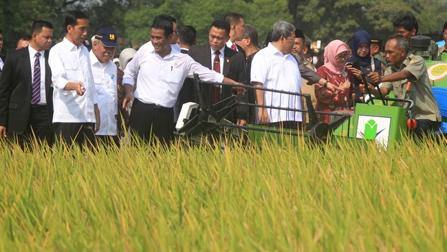 Menteri Pertanian telah membentuk tim khusus yang ditugaskan melakukan pembelian lahan di masyarakat untuk kembali dijadikan sawah.