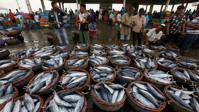 Selain isu gizi buruk dan malnutrisi, peningkatan konsumsi ikan menjadi tantangan besar dalam pemenuhan sumber pangan dunia, khususnya Indonesia.