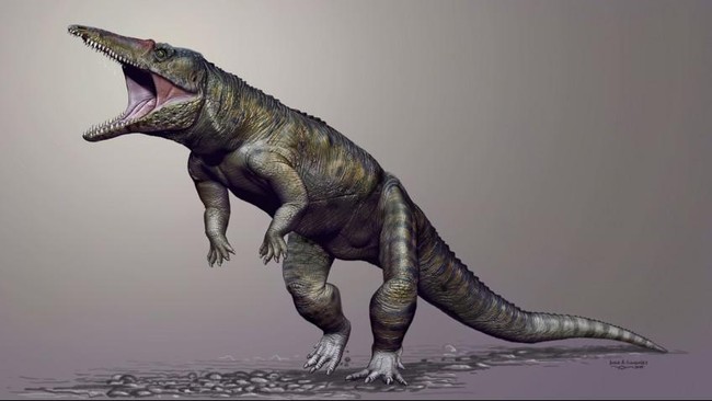 Para peneliti merekonstruksi tengkorak Carnufex carolinensis dan diketahui ia memiliki bentuk seperti seperti buaya yang bisa berjalan dengan kaki belakang.