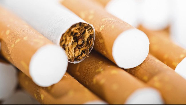 Mayoritas industri di Tanah Air rentan terdampak gejolak kurs, kecuali industri rokok yang tak terlalu bergantung pada bahan baku impor.