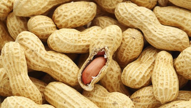 Balita yang diberi makan susu sapi, telur, dan kacang sebelum berusia satu tahun tak sensitif terhadap makanan tersebut.