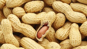 Konsumsi Kacang Turunkan Risiko Kanker Usus