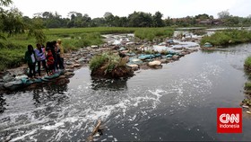 Ribuan Ikan Mati di Ancol Diduga Akibat Limbah Industri