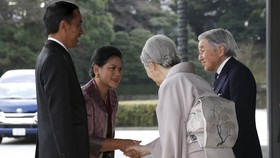 Anemia Otak, Kaisar Jepang Akihito Batalkan Tugas Kerajaan