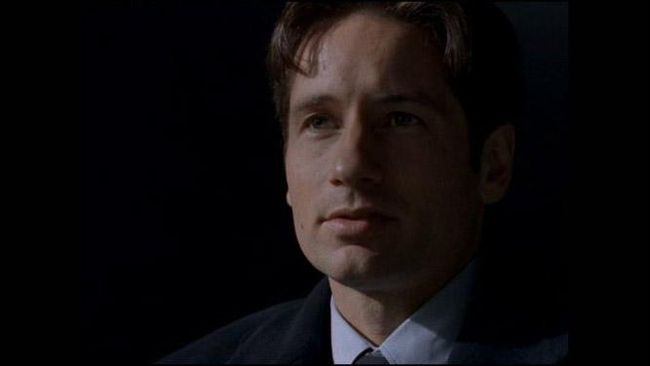Saluran televisi yang menyiarkannya, Fox, mengumumkan kalau serial X-Files akan kembali tayang pada bulan 25 Januari 2016.