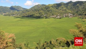 Melacak Rahasia Circle Crop Jaring Laba-laba Raksasa Flores