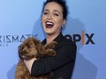 Katy Perry Desain Sendiri Materi Konsernya