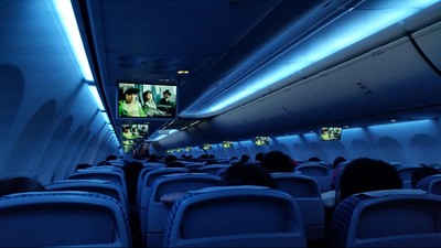 Pesawat Punya Ruang 'Rahasia', Gunanya untuk Pramugari dan Pilot Tidur