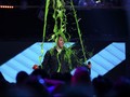 Daftar Lengkap Pemenang Kids Choice Awards 2018
