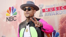 Chris Brown Terancam Penjara Gara-gara Monyet