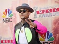 Chris Brown Terancam Dipenjara Karena Monyet