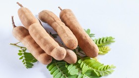 3 Manfaat Mengesankan Asam Jawa untuk Kesehatan