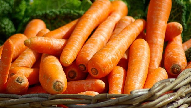 Wortel jadi salah satu sayuran yang mengandung banyak nutrisi. Berikut manfaat jus wortel untuk kesehatan secara menyeluruh.