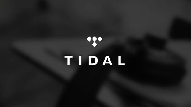 Tidal menawarkan 25 juta lagu dan 75 ribu video musik dari musisi dunia. Setengah pelanggannya berasal dari Norwegia, Swedia, Denmark, Jerman dan Polandia.