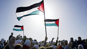 Gadis Palestina Berusia 12 Tahun Bebas dari Penjara Israel