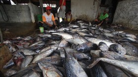 Uni Eropa Keluarkan Ancaman, Thailand Kekurangan Seafood