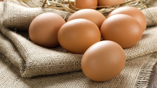 Perusahaan kopi Starbucks Corporation akan beralih menggunakan telur yang dihasilkan oleh ayam-ayam bebas kandang.