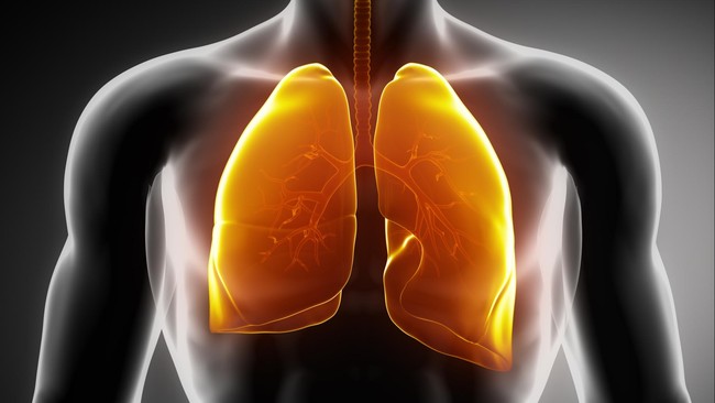 Asma yang berasal dari bahasa yunani Asthma, merupakan penyakit yang menyerang paru­-paru dan saluran udara.