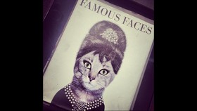 Hidup Mewah Seekor Peliharaan Lagerfeld