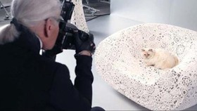 10 Fakta Choupette Kucing Manja Karl Lagerfeld: Punya iPad dan 2 Nanny