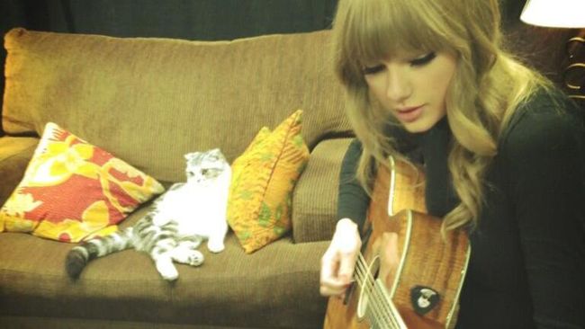 Kedua kucing piaraan Taylor Swift ini dinamakan mirip karakter perempuan hebat di serial televisi.