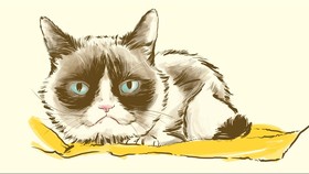 Bintang Meme Grumpy Cat Mati Tinggalkan Jutaan Fan