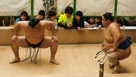 Keseruan Kejuaraan Sumo, Honozumo, di Kuil Yasukuni