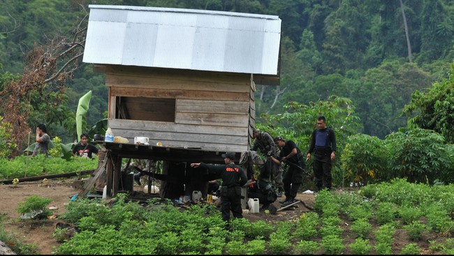 Menurut pihak Polda Sulteng optimisme itu didukung dengan peran masyarakat yang resah akibat teror yang mereka lakukan, khususnya di wilayah Kabupaten Poso.