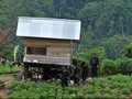 Bergabung Santoso, Warga Uighur Ingin Berpisah dari China