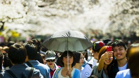 5 Rahasia Taman Ueno
