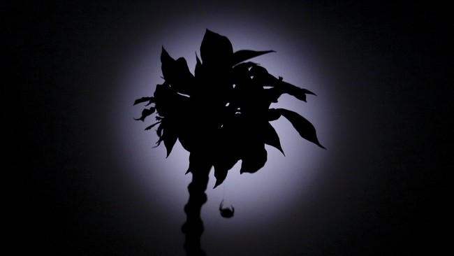 Pada gerhana ini, seluruh bagian bulan berada di bagian penumbra. Sehingga bulan masih dapat terlihat dengan warna yang suram.