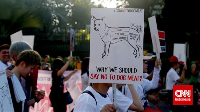 Tak sekadar berbahaya bagi kesehatan, konsumsi daging anjing juga dinilai melawan prinsip kesejahteraan hewan.