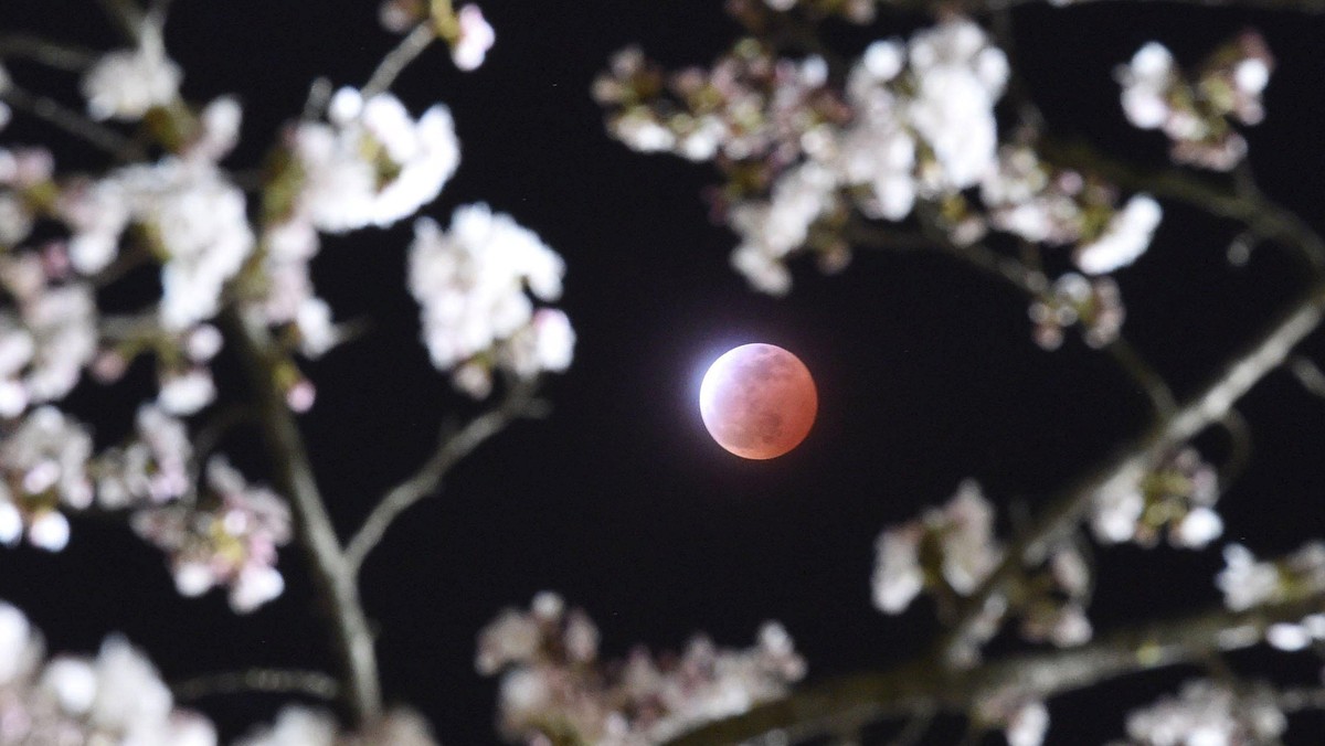 Melihat Gerhana Bulan 'Berdarah' di Berbagai Negara