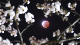 Misteri Lahirnya Bulan Terpecahkan