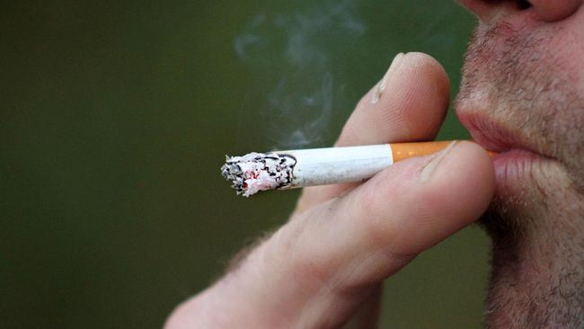 Sebanyak 15,2 persen responden mengaku menghabiskan lebih banyak rokok selama pandemi Covid-19. Sementara 50 persen masih sama kadar konsumsinya.