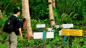 77 Kuburan Asing Ditemukan di Lokasi Perbudakan Benjina