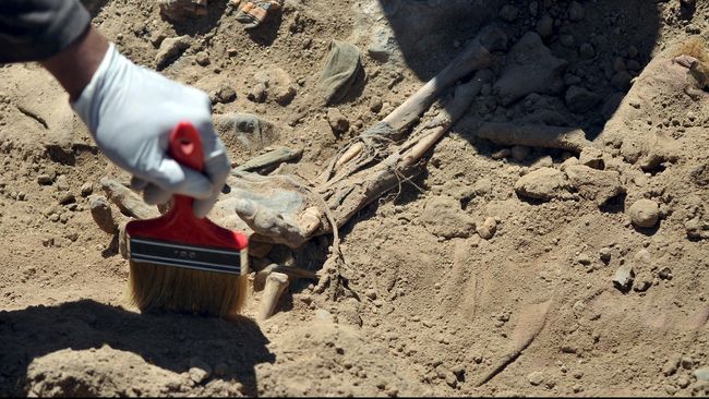 Kuburan Massal di Meksiko Terkuak, 166 Mayat Ditemukan
