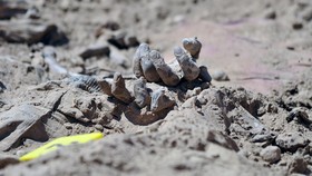 Kisah Kekerasan Veracruz, Lokasi Kuburan Massal di Meksiko