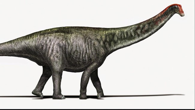 Brontosaurus kembali mendapatkan identitasnya sebagai genus tersendiri dinosaurus berleher panjang, setelah lebih dari seabad dimasukkan genus Apatosaurus.