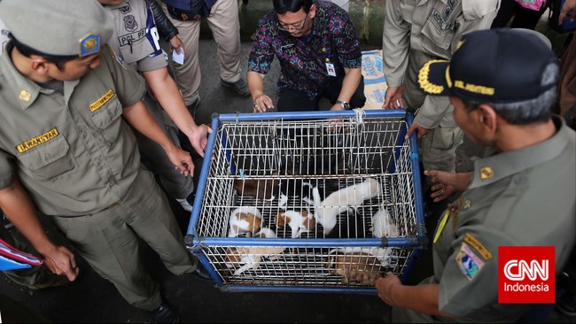 Sidak yang dilakukan Dinas Kelautan, Pertanian dan Ketahanan Pangan DKI ini bertujuan mendata dan mengawasi peredaran daging anjing untuk konsumsi manusia.