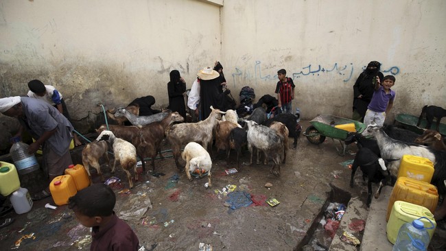 Mereka menuliskan status serta informasi kejadian terkini di Yaman melalui akun Twitter dengan hastag #KefayaWar dan #Yemen
