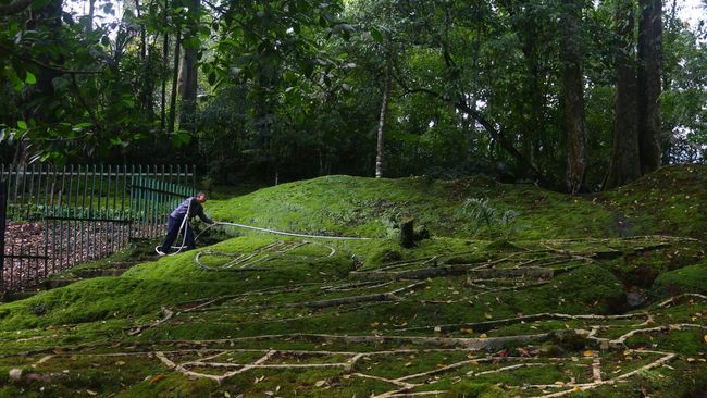 Secara kasat mata, imbas dari penerapan kembali PSBB adalah minimnya angka kunjungan di Kebun Raya Cibodas dan tempat wisata lainnya di akhir pekan ini.