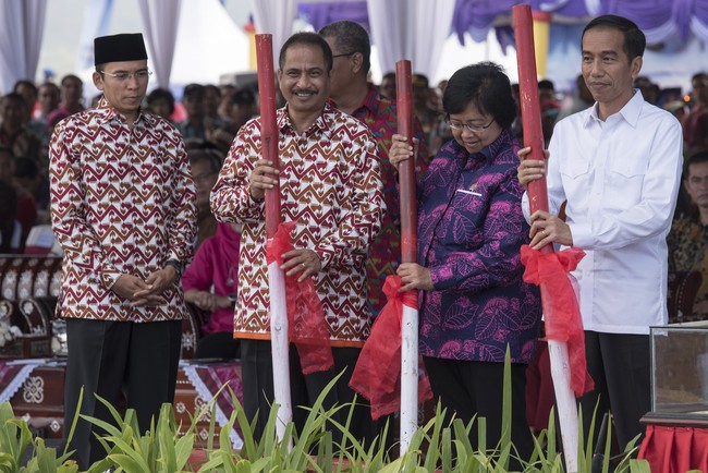 Tambora Berpesta Menyapa Dunia