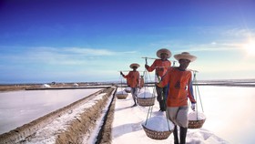 BUMN Usul Importir Garam Diwajibkan Serap Produksi Lokal