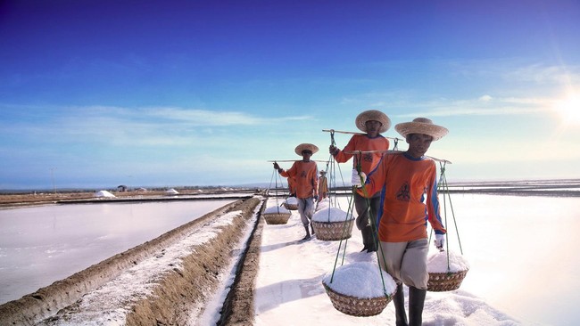 Lahan produksi milik PT Garam, BUMN produsen garam. (Dok. PT Garam)