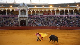 Potret Tempat Adu Banteng Paling Sakral di Spanyol