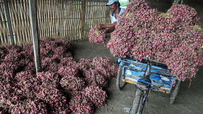 IKAPPI meminta pemerintah mengebut distribusi bawang merah ke wilayah-wilayah yang kebutuhannya besar seperti Jabodetabek.