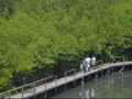 Ekowisata Tosela, Destinasi Baru Libur Lebaran di Kepri