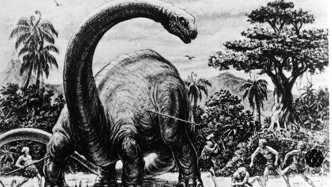 Jejak sepanjang 50 meter itu terdiri dari 90 tapak kaki dinosaurus yang diyakini memiliki bobot 30 ton. Diameter setiap tapak kaki kira-kira 1,2 meter.