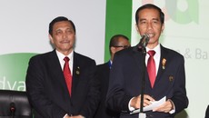 Jokowi Tunjuk Luhut Jadi Ketua Dewan Sumber Daya Air Nasional